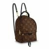 Louis Vuitton Palm Springs Mini Backpack coated monogram