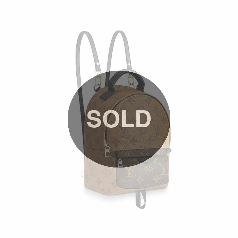 Louis Vuitton Reverse Monogram Mini Palmsprings Backpack