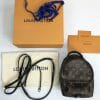 louis vuitton palm springs mini backpack used good condition