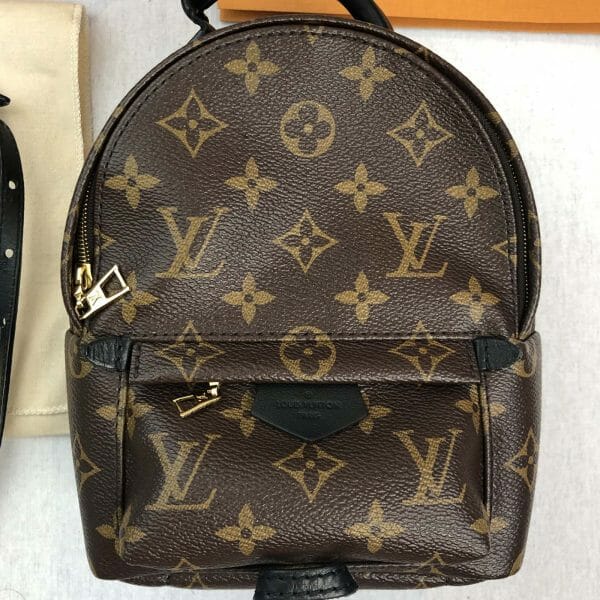 louis vuitton palm springs mini backpack used good condition 3 close up