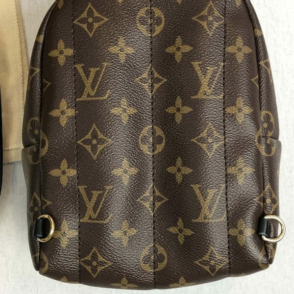 louis vuitton palm springs mini backpack used good condition back