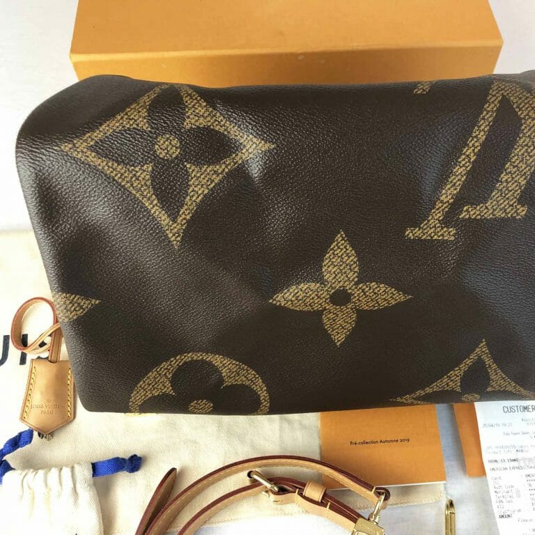 Louis Vuitton Giant Monogram Reverse Speedy 30 Bag - Handbagholic