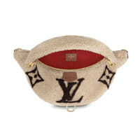 Louis Vuitton FW19 Teddy Fleece Handbags