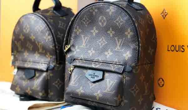 Louis Vuitton Palm Springs Mini Backpack Fake vs Real Comparison -  Handbagholic
