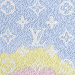 HOW TO CLEAN YOUR LOUIS VUITTON CANVAS! An easy to follow guide #bagrehab 