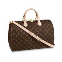 Classic LV Speedy vs. Limited Edition: What's the Difference? (Monogram  /Monopaname/Cognac) 