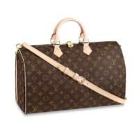 What Size Is Lv Speedy 30  Natural Resource Department