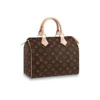 Bag and Purse Organizer with Regular Style for Louis Vuitton Speedy 25, 30,  35 and 40