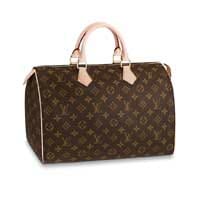 The Ultimate Guide To The Louis Vuitton Speedy Bag - Handbagholic