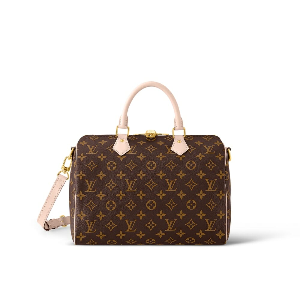 4 Reasons Why You are Supposed to Buy A Louis Vuitton Bag in Australia